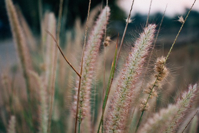 Read more about the article Ways to Navigate Body Image Struggles During a Pandemic  /  Pasta with Tomato and Roasted Eggplant