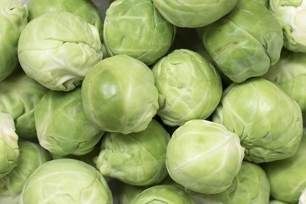 brussels-sprouts-g73fac6a88_640